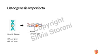 Osteogenesis Imperfecta
Altered
Collagen type 1
Genetic disease:
COL1A1 gene
COL1A2 gene
Copyright
Silvia Storoni
 