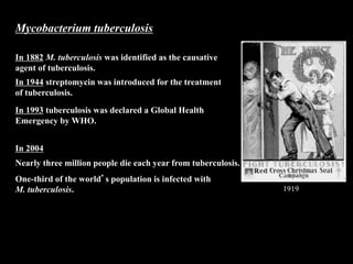 Mycobacterium tuberculosis
In 1882 M. tuberculosis was identified as the causative
agent of tuberculosis.
One-third of the world’s population is infected with
M. tuberculosis.
Nearly three million people die each year from tuberculosis.
In 1993 tuberculosis was declared a Global Health
Emergency by WHO.
1919
In 2004
In 1944 streptomycin was introduced for the treatment
of tuberculosis.
 