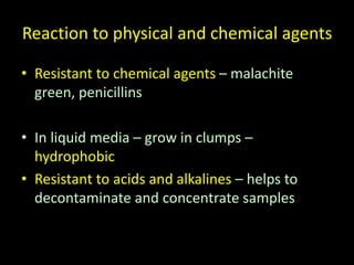 Reaction to physical and chemical agents
• Resistant to chemical agents – malachite
green, penicillins
• In liquid media – grow in clumps –
hydrophobic
• Resistant to acids and alkalines – helps to
decontaminate and concentrate samples
 