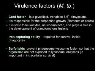 Virulence factors (M. tb.)
– Cord factor – is a glycolipid, trehalose 6,6’ dimycolate,
– t is responsible for the serpentine growth (filaments or cords)
– It is toxic to leukocytes, antichemotactic, and plays a role in
the development of granulomatous lesions
– Iron capturing ability – required for survival inside
phagocytes
– Sulfolipids prevent phagosome-lysosome fusion so that the
organisms are not exposed to lysosomal enzymes (is
important in intracellular survival)
 