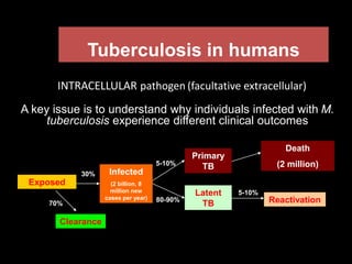 Tuberculosis in humans
A key issue is to understand why individuals infected with M.
tuberculosis experience different clinical outcomes
INTRACELLULAR pathogen (facultative extracellular)
Exposed
Infected
(2 billion, 8
million new
cases per year)
Primary
TB
Latent
TB Reactivation
30%
80-90%
5-10%
5-10%
Clearance
70%
Death
(2 million)
 