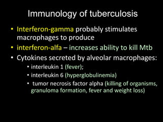 Immunology of tuberculosis
• Interferon-gamma probably stimulates
macrophages to produce
• interferon-alfa – increases ability to kill Mtb
• Cytokines secreted by alveolar macrophages:
• interleukin 1 (fever);
• interleukin 6 (hyperglobulinemia)
• tumor necrosis factor alpha (killing of organisms,
granuloma formation, fever and weight loss)
 