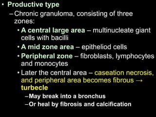 • Productive type
–Chronic granuloma, consisting of three
zones:
• A central large area – multinucleate giant
cells with bacilli
• A mid zone area – epitheliod cells
• Peripheral zone – fibroblasts, lymphocytes
and monocytes
• Later the central area – caseation necrosis,
and peripheral area becomes fibrous →
turbecle
–May break into a bronchus
–Or heal by fibrosis and calcification
 