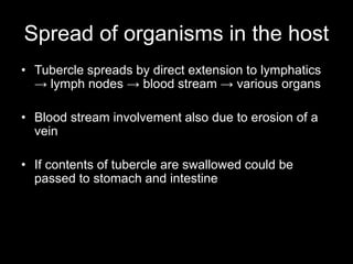 Spread of organisms in the host
• Tubercle spreads by direct extension to lymphatics
→ lymph nodes → blood stream → various organs
• Blood stream involvement also due to erosion of a
vein
• If contents of tubercle are swallowed could be
passed to stomach and intestine
 