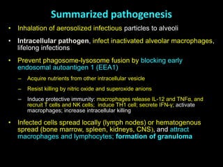 Summarized pathogenesis
• Inhalation of aerosolized infectious particles to alveoli
• Intracellular pathogen, infect inactivated alveolar macrophages,
lifelong infections
• Prevent phagosome-lysosome fusion by blocking early
endosomal autoantigen 1 (EEA1)
– Acquire nutrients from other intracellular vesicle
– Resist killing by nitric oxide and superoxide anions
– Induce protective immunity: macrophages release IL-12 and TNFα, and
recruit T cells and NK cells; induce TH1 cell; secrete IFN-γ; activate
macrophages; increase intracellular killing
• Infected cells spread locally (lymph nodes) or hematogenous
spread (bone marrow, spleen, kidneys, CNS), and attract
macrophages and lymphocytes; formation of granuloma
 