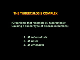 THE TUBERCULOSIS COMPLEX
(Organisms that resemble M. tuberculosis;
Causing a similar type of disease in humans)
1. M. tuberculosis
2. M. bovis
3. M. africanum
 