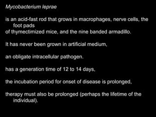 Mycobacterium leprae
is an acid-fast rod that grows in macrophages, nerve cells, the
foot pads
of thymectimized mice, and the nine banded armadillo.
It has never been grown in artificial medium,
an obligate intracellular pathogen.
has a generation time of 12 to 14 days,
the incubation period for onset of disease is prolonged,
therapy must also be prolonged (perhaps the lifetime of the
individual).
 