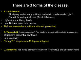 There are 3 forms of the disease:
• A. Lepromatous:
Most progressive many acid fast bacteria in bundles called globi.
No well formed granulomas (T-cell deficiency)
• High serum antibody levels
• Low Th1 response to M. leprae
• Th2 response-->humoral immunity (not protective)
• B. Tuberculoid: (Less contagious) Few bacteria present with multiple granulomas.
• Organisms present at low levels
• Low infectivity
• Strong Th1 response to M. leprae antigens
• C. borderline: Has mixed characteristics of both lepromatous and tuberculoid forms
 