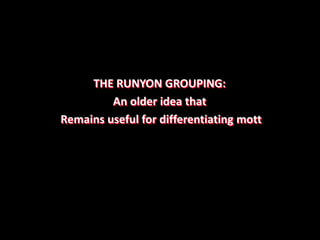 THE RUNYON GROUPING:
An older idea that
Remains useful for differentiating mott
 
