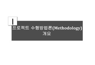 프로젝트 수행방법론(Methodology)
개요
Ⅰ
 