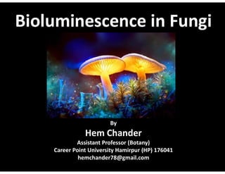 Bioluminescence in Fungi
By
Hem Chander
Assistant Professor (Botany)
Career Point University Hamirpur (HP) 176041
hemchander78@gmail.com
 