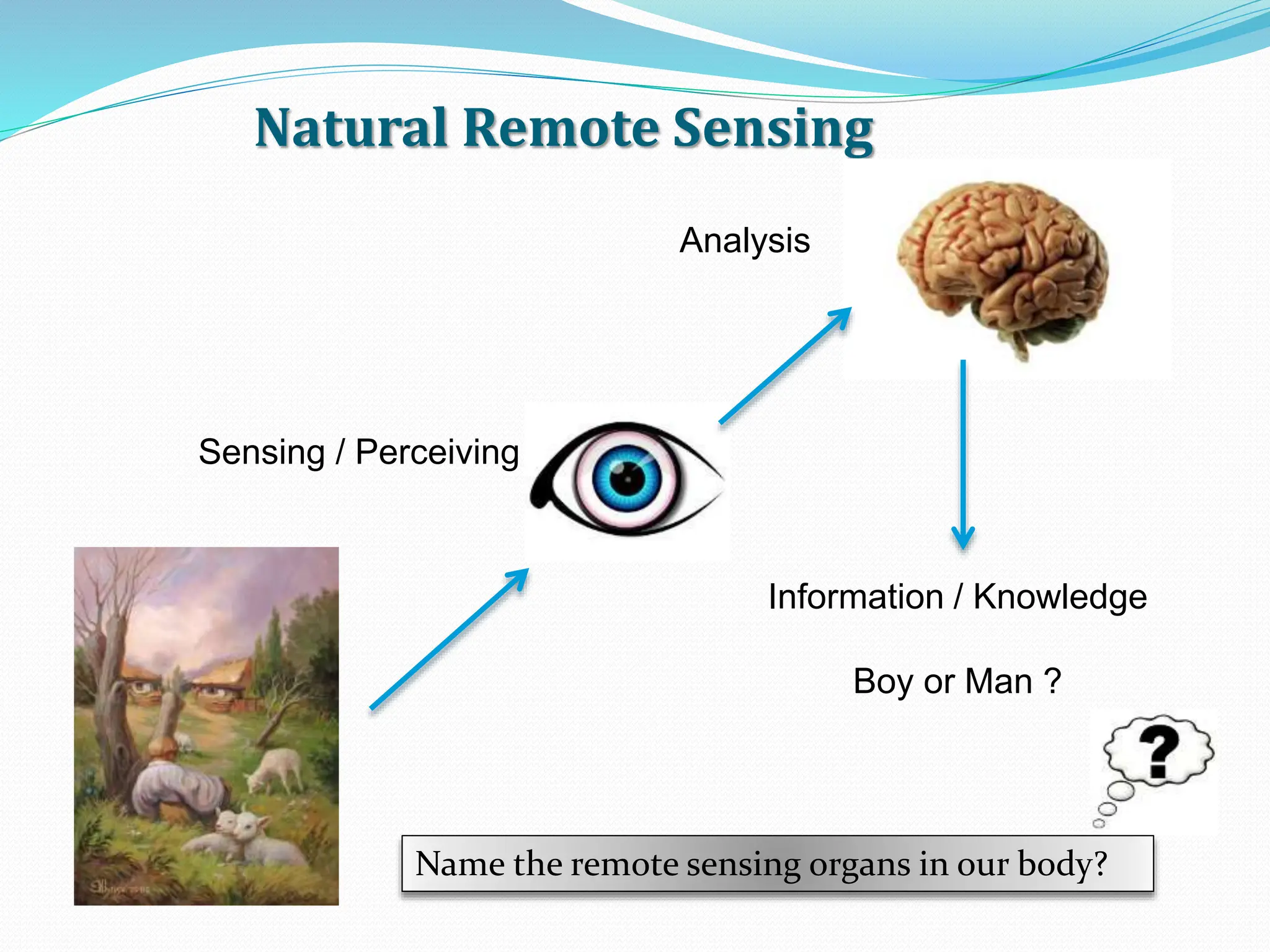 Natural Remote Sensing
Sensing / Perceiving
Analysis
Information / Knowledge
Boy or Man ?
Name the remote sensing organs in our body?
 
