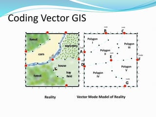 Coding Vector GIS
Polygon
I
Polygon
II
Polygon
III
Polygon
V
Polygon
IV
node
A
node
B
node
C
node
E
node
F
node
G
node
D
Reality Vector Mode Model of Reality
 
