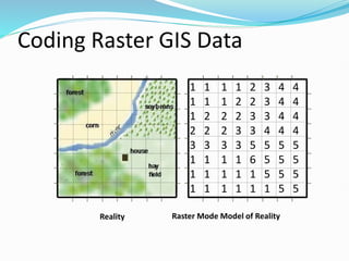 Coding Raster GIS Data
1 1 1 1 2 3 4 4
1 1 1 2 2 3 4 4
1 2 2 2 3 3 4 4
2 2 2 3 3 4 4 4
3 3 3 3 5 5 5 5
1 1 1 1 6 5 5 5
1 1 1 1 1 5 5 5
1 1 1 1 1 1 5 5
Reality Raster Mode Model of Reality
 