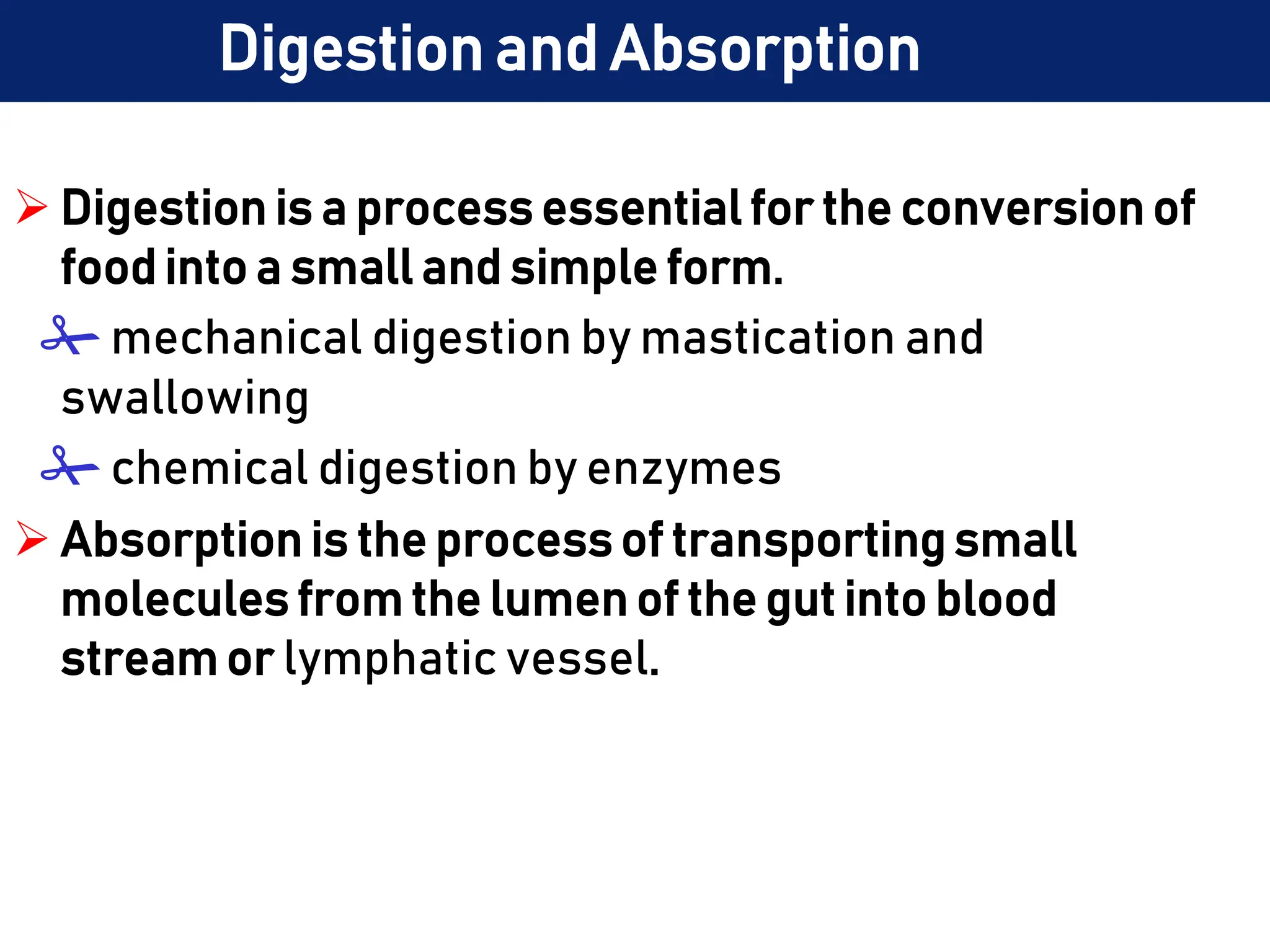  Digestion is a process essential for the conversion of
food into a small and simple form.
 mechanical digestion by mastication and
swallowing
 chemical digestion by enzymes
 Absorption is the process of transporting small
molecules from the lumen of the gut into blood
stream or lymphatic vessel.
Digestion and Absorption
 