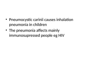 • Pneumocystic carinii causes inhalation
pneumonia in children
• The pneumonia affects mainly
immunosupressed people eg HIV
 