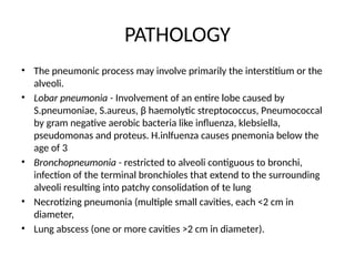 PATHOLOGY
• The pneumonic process may involve primarily the interstitium or the
alveoli.
• Lobar pneumonia - Involvement of an entire lobe caused by
S.pneumoniae, S.aureus, β haemolytic streptococcus, Pneumococcal
by gram negative aerobic bacteria like influenza, klebsiella,
pseudomonas and proteus. H.inlfuenza causes pnemonia below the
age of 3
• Bronchopneumonia - restricted to alveoli contiguous to bronchi,
infection of the terminal bronchioles that extend to the surrounding
alveoli resulting into patchy consolidation of te lung
• Necrotizing pneumonia (multiple small cavities, each <2 cm in
diameter,
• Lung abscess (one or more cavities >2 cm in diameter).
 
