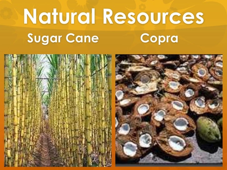 The Pacific Islands Physical Geography20.3