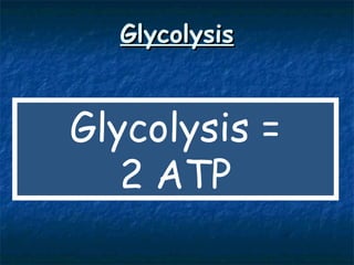 Glycolysis Glycolysis = 2 ATP 