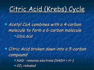 Citric Acid (Krebs) Cycle Acetyl CoA combines with a 4-carbon molecule to form a 6-carbon molecule Citric Acid Citric Acid broken down into a 5-carbon compound NAD  +  removes electrons (NADH + H  + ) CO 2  released 