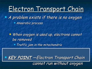 Electron Transport Chain A problem exists if there is no oxygen Anaerobic process When oxygen is used up, electrons cannot be removed Traffic jam in the mitochondria KEY POINT  —Electron Transport Chain  cannot run without oxygen 