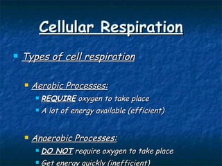 Cellular Respiration Types of cell respiration Aerobic Processes: REQUIRE  oxygen to take place A lot of energy available (efficient)  Anaerobic Processes: DO NOT  require oxygen to take place Get energy quickly (inefficient) 