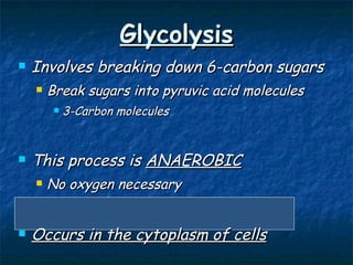 Glycolysis Involves breaking down 6-carbon sugars Break sugars into pyruvic acid molecules 3-Carbon molecules This process is  ANAEROBIC No oxygen necessary Occurs in the cytoplasm of cells 