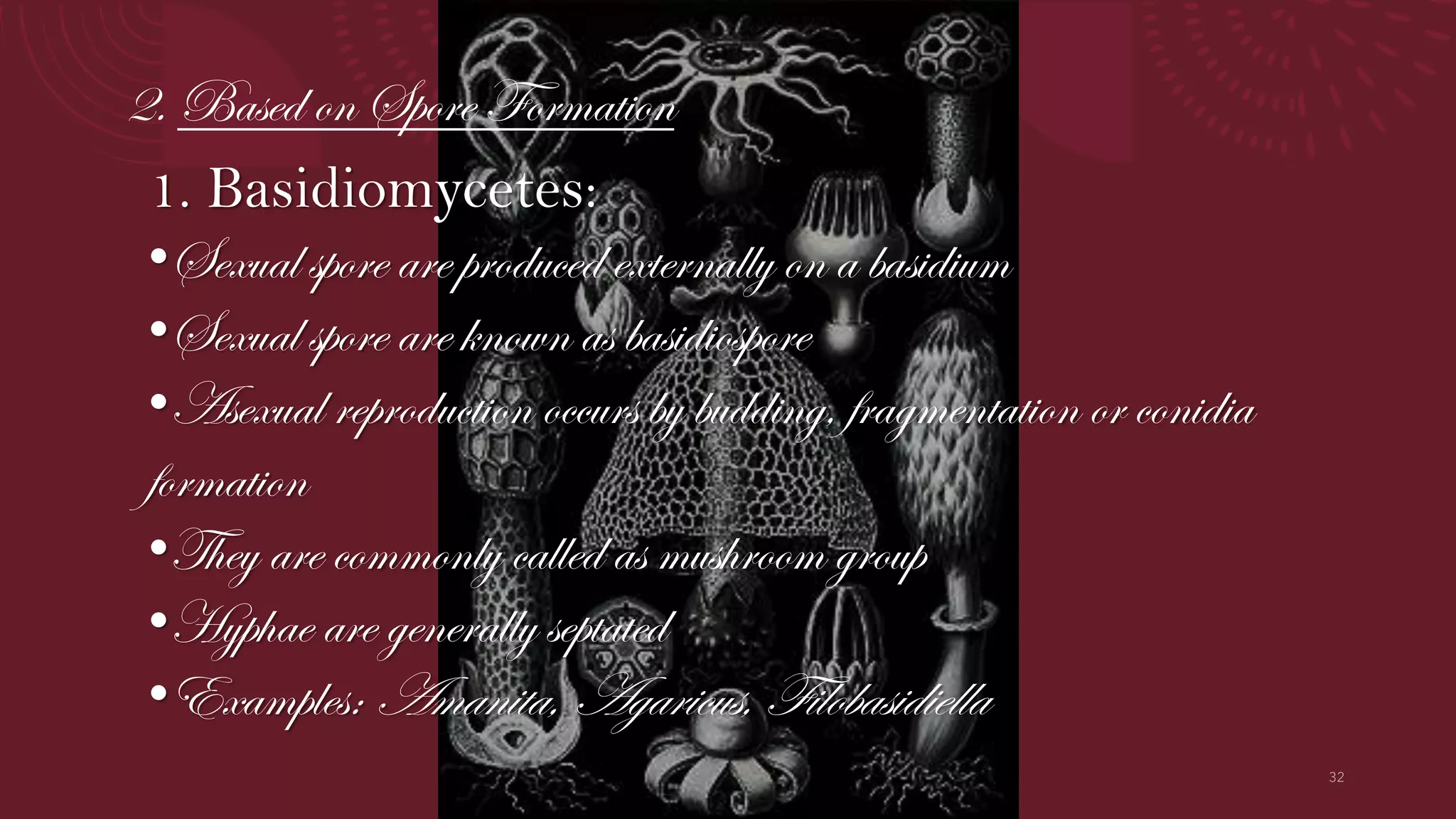 Morphological organization and cell structure of Micro-organisms. | PDF