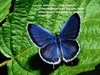 He aprendido....Que cuando planeas vengarte de alguien, estás dejando que esa persona continúe hiriéndote.  