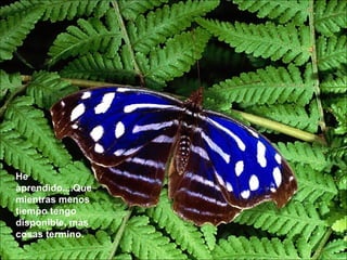 He aprendido....Que mientras menos tiempo tengo disponible, más cosas termino.  