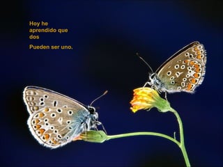 Hoy he aprendido que dos  Pueden ser uno. 