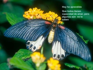 Hoy he aprendido Que todos tienen capacidad de amar, pero algunos aún  no lo saben 