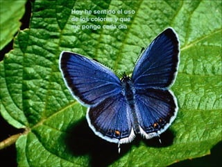 Hoy he sentido el uso de los colores y que me pongo cada día 