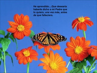 He aprendido....Que desearía haberle dicho a mi Padre que lo quiero, una vez más, antes de que falleciera.  