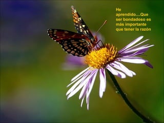 He aprendido....Que ser bondadoso es más importante que tener la razón  