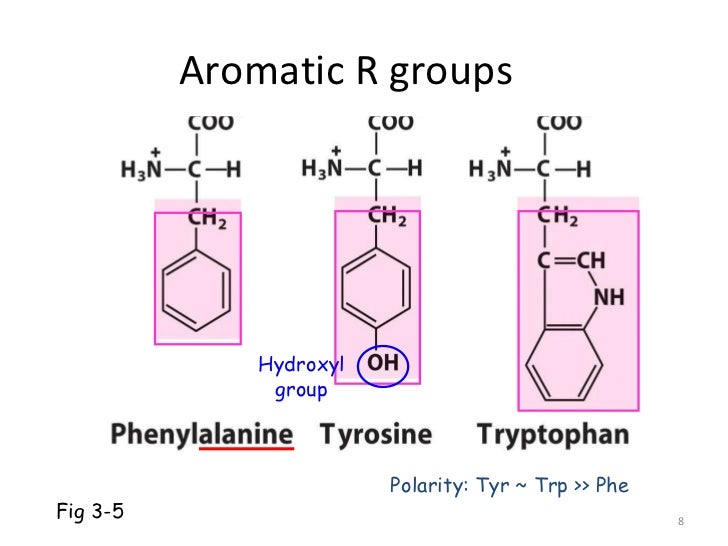 20 amino acids
