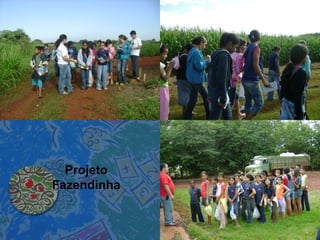 Projeto Fazendinha 