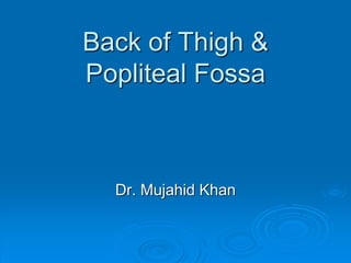 Back of Thigh &
Popliteal Fossa
Dr. Mujahid Khan
 
