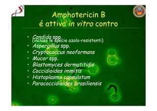 Amphotericin B
       é attiva in vitro contro
• Candida spp.
    (incluse le specie azolo-resistenti)
•   Aspergillus spp.
•   Cryptococcus neoformans
•   Mucor spp.
•   Blastomyces dermatitidis
•   Coccidioides immitis
•   Histoplasma capsulatum
•   Paracoccidioides brasiliensis
 