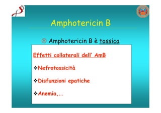 Amphotericin B

    Amphotericin B è tossica

Effetti collaterali dell’ AmB

Nefrotossicità

Disfunzioni epatiche

Anemia,..
 