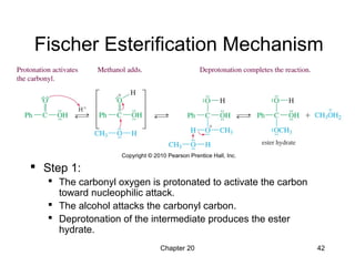 Chapter 20 42
Fischer Esterification Mechanism
 Step 1:
 The carbonyl oxygen is protonated to activate the carbon
toward nucleophilic attack.
 The alcohol attacks the carbonyl carbon.
 Deprotonation of the intermediate produces the ester
hydrate.
 