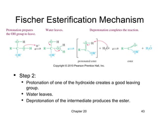 Chapter 20 43
Fischer Esterification Mechanism
 Step 2:
 Protonation of one of the hydroxide creates a good leaving
group.
 Water leaves.
 Deprotonation of the intermediate produces the ester.
 