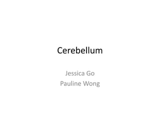 Cerebellum

  Jessica Go
Pauline Wong
 