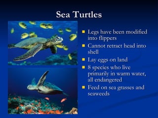 20. Class Reptilia Notes | PPT