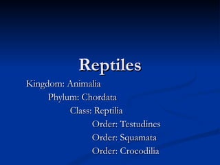 Reptiles Kingdom: Animalia Phylum: Chordata Class: Reptilia Order: Testudines Order: Squamata Order: Crocodilia 