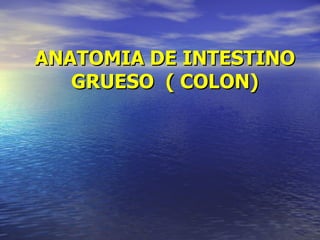 ANATOMIA DE INTESTINO
   GRUESO ( COLON)
 