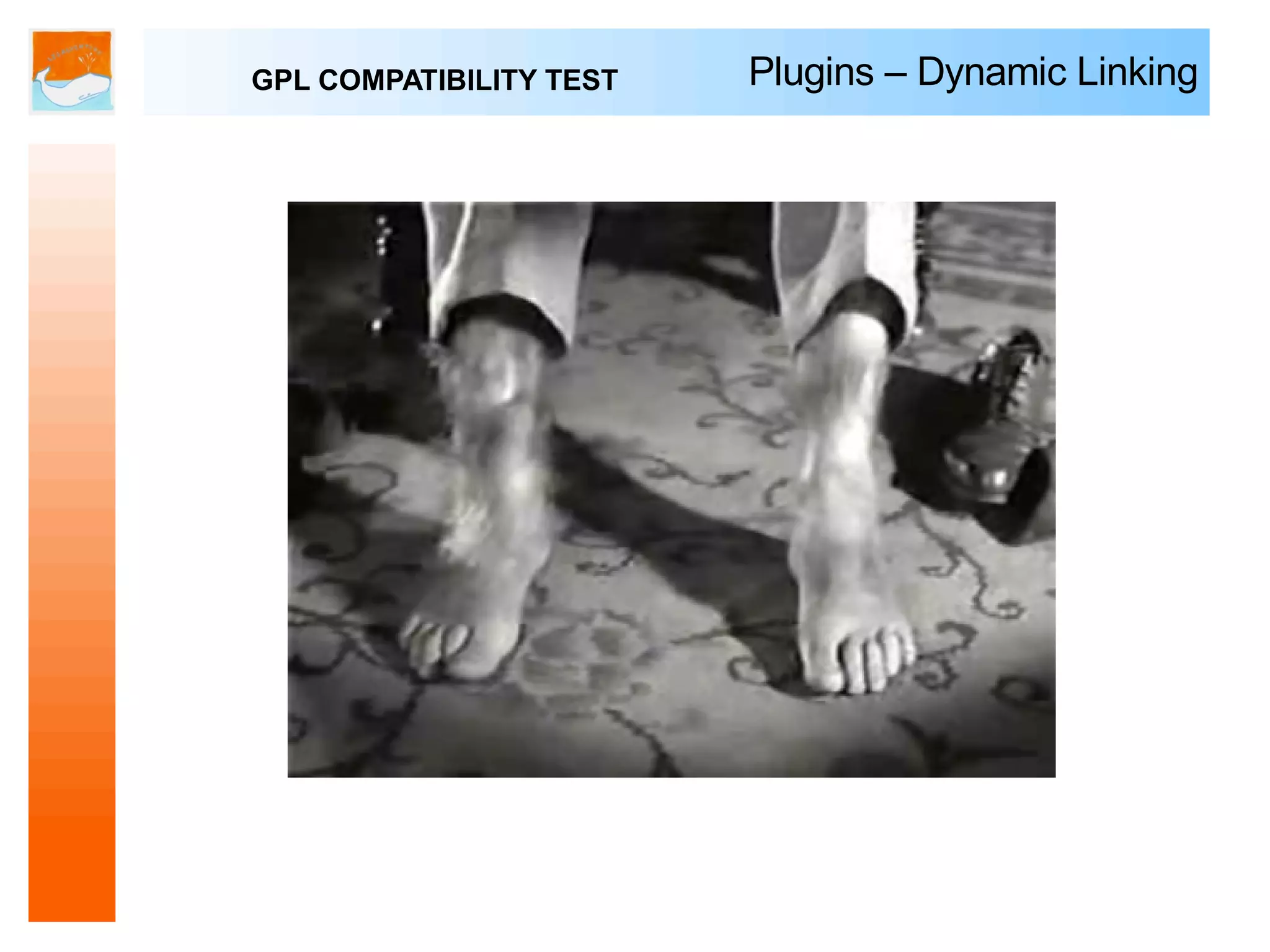 GPL COMPATIBILITY TEST   Plugins – Dynamic Linking
 