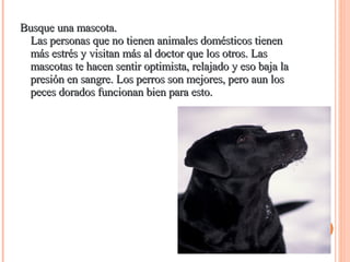 Busque una mascota.  Las personas que no tienen animales domésticos tienen más estrés y visitan más al doctor que los otros. Las mascotas te hacen sentir optimista, relajado y eso baja la presión en sangre. Los perros son mejores, pero aun los peces dorados funcionan bien para esto. 