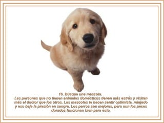 16. Busque una mascota.  Las personas que no tienen animales domésticos tienen más estrés y visitan más al doctor que los otros. Las mascotas te hacen sentir optimista, relajado y eso baja la presión en sangre. Los perros son mejores, pero aun los peces dorados funcionan bien para esto. 