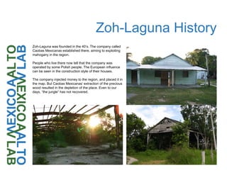 Zoh-Laguna History
Zoh-Laguna was founded in the 40’s. The company called
Caobas Mexicanas established there, aiming to exploiting
mahogany in the region.
People who live there now tell that the company was
operated by some Polish people. The European influence
can be seen in the construction style of their houses.
The company injected money to the region, and placed it in
the map. But Caobas Mexicanas’ extraction of the precious
wood resulted in the depletion of the place. Even to our
days, “the jungle” has not recovered.
 